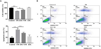 Effects of Escitalopram on Endoplasmic Reticulum Stress and Oxidative Stress Induced by Tunicamycin